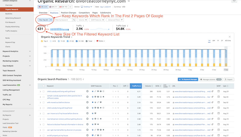 Top 20 Organic Rankigns